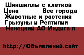 Шиншиллы с клеткой › Цена ­ 8 000 - Все города Животные и растения » Грызуны и Рептилии   . Ненецкий АО,Индига п.